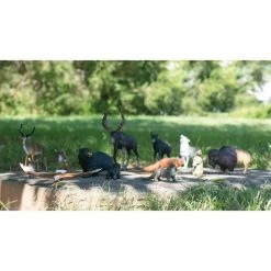 Kaplan Early Learning Company Kaplan Early Learning North American Wildlife - Set of 13
