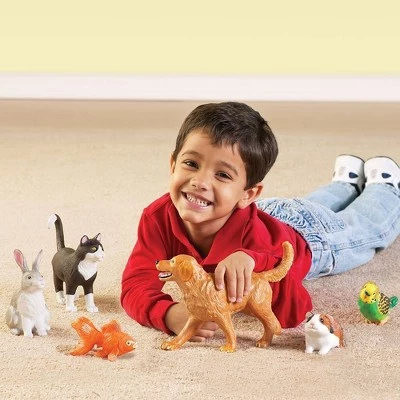 Learning Resources Jumbo Domestic Pets I Cat, Dog, Rabbit, Guinea Pig, Fish and Bird, 6 Animals