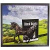 Breyer Animal Creations Breyer 1:12 Black Beauty Horse and Book Set