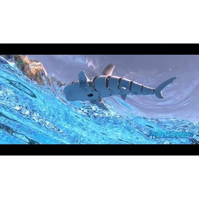 Jupiter Creations, Inc Roboshark 2.4G R/C Radio-Controlled Shark Water Toy